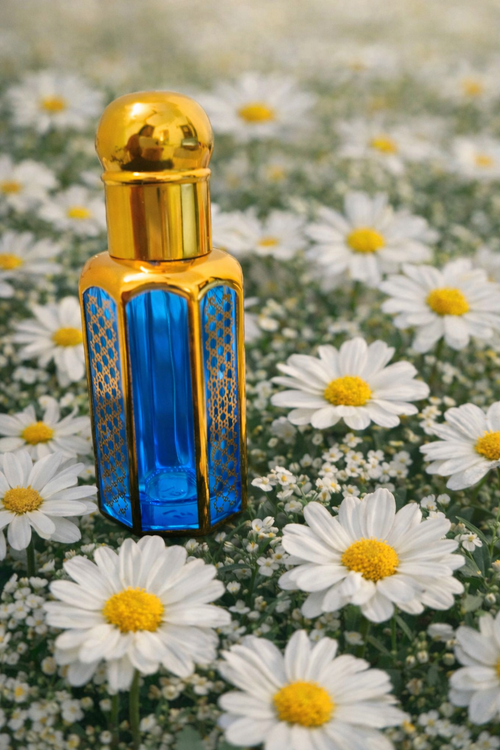 DREAM DAISY